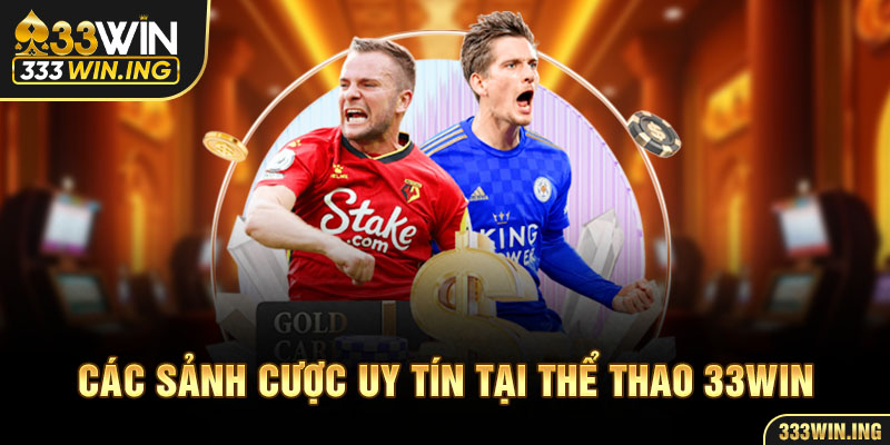 Các sảnh cược uy tín tại thể thao 33Win