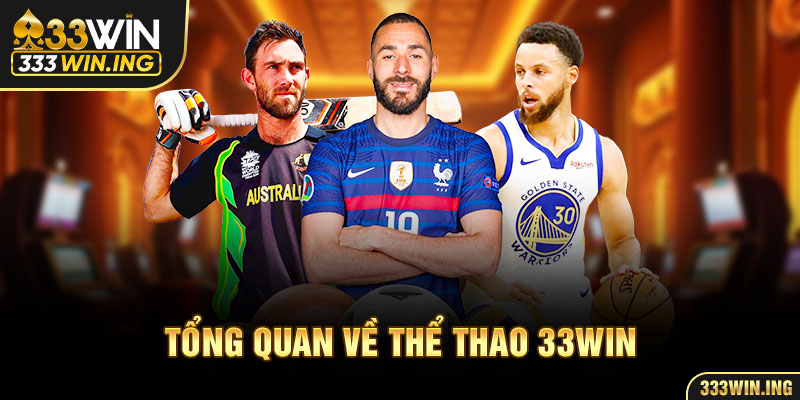 Tổng quan về thể thao 33Win